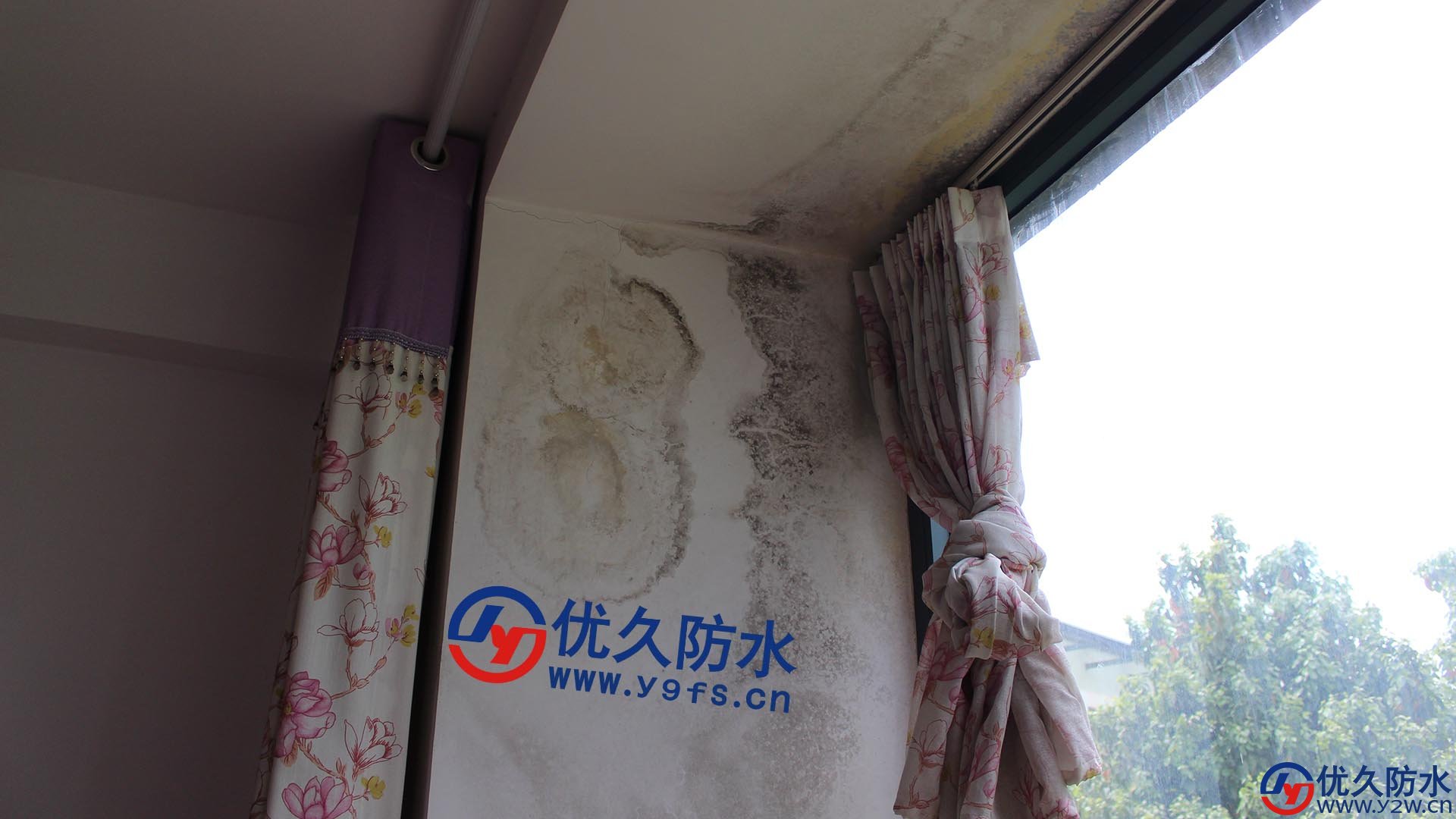 因为没有窗檐，雨水顺着窗户墙壁流，导致窗户上半部分渗漏特别严重